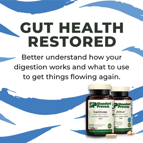 gut-health-restored-overview-1200-1-1.jpg__PID:02b6a0c1-4b32-4127-976a-5e94e351a290