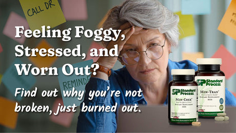 Adrenal Burnout - Feeling Foggy, Stressed, and Worn Out?