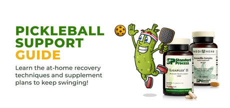 Pickleball Support Guide 