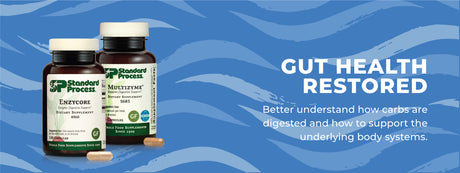 Gut Health Restored - Carbohydrate Digestion
