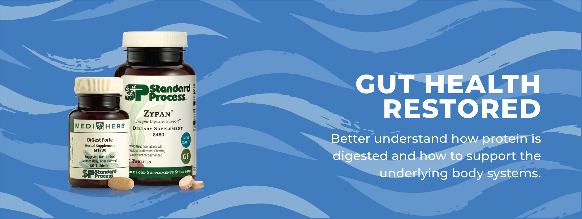 Gut Health Restored Part 2 - Protein Digestion