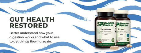 Gut Health Restored Part 1 - Digestion Series